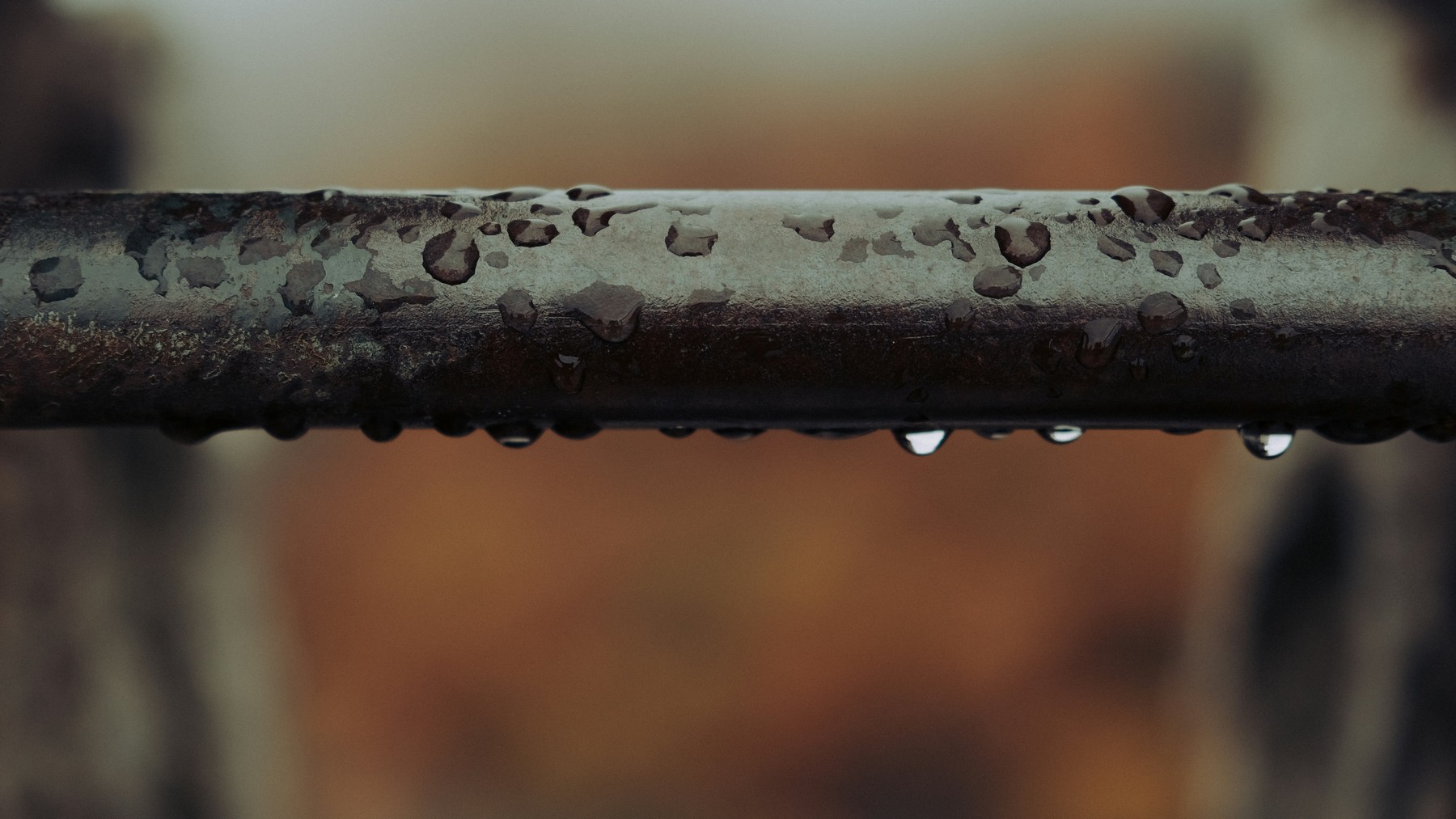 Wasserschaden an einer Wand durch ein undichtes Rohr